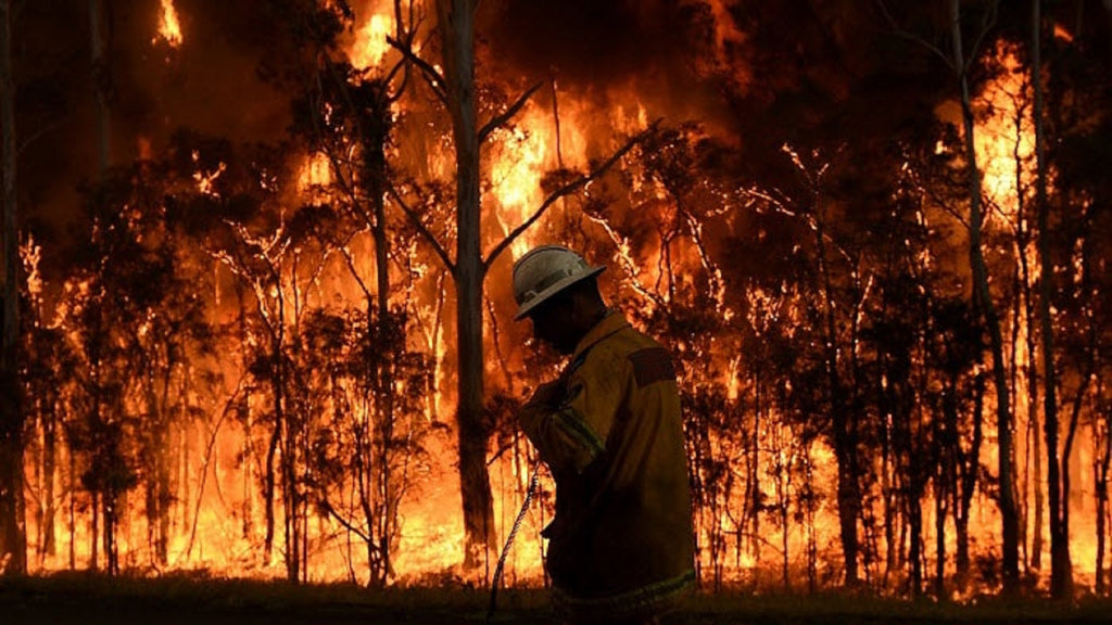 How to Prepare for a Bushfire: Everything You Need to Know